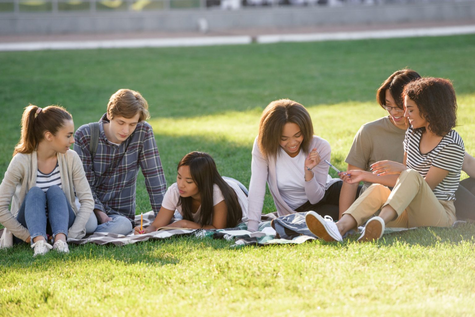 TIIS – The Institute of International Studies